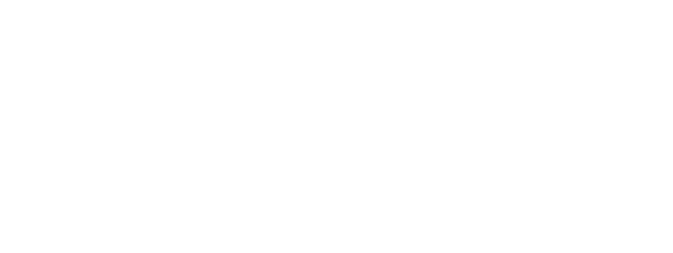 ViZit